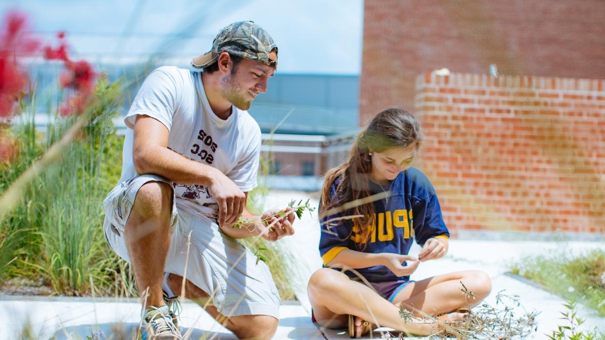 two students looking at grass on roof